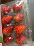 【产地直采】丹东红颜草莓300g 实拍图