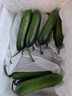 京鲜生 山东荷兰水果黄瓜 净重3斤 单果70g+ 小青瓜 健康轻食 源头直发 实拍图