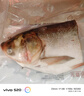 鲜喜爱 冷冻千岛湖有机鲢鱼头1.5斤 白鲢鱼头  生鲜鱼类 海鲜水产 实拍图