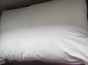 水星家纺枕头枕芯酒店枕头护颈枕头芯家用单个纯棉抗菌可水洗中枕48x74cm 实拍图
