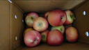 京鲜生 山东烟台红富士苹果 净重5斤 果径75mm+ 新鲜水果 源头直发 实拍图