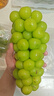 果益寿江苏阳光玫瑰葡萄【JD闪送】晴王葡萄青提子双11百亿补贴水果盒装 一级果3斤手提礼盒装单粒8-10g 实拍图