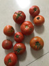 正宗沙瓤西红柿水果番茄自然熟新鲜蔬菜生鲜减肥单果80g起 1斤 带箱 实拍图