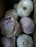 紫白皮蒜水果大蒜超市即食生鲜蔬菜大蒜 [活动]10头 200g 单果3.5-5cm 实拍图