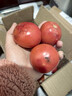 【超市精选】山东沙瓤水果西红柿新鲜番茄蔬菜减肥单果100g起 西红柿中大果 3斤 带箱 实拍图