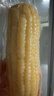 京鲜生东北白糯玉米250g*10棒 新鲜甜糯玉米棒真空包装粘玉米 源头直发 实拍图