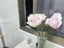 京东鲜花产地仓严选玫瑰颜色随机家庭插花随机玫瑰10枝源头直发 实拍图