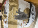 皇家猫粮 英短成猫粮 BS34 通用粮 12月以上 10KG 实拍图