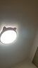 雷士（NVC）LED护眼卧室吸顶灯三色调光灯具灯饰卡通龙猫造型新年礼物儿童房 48W 【全光谱】龙猫粉 RA98 智控 实拍图
