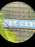 佳泊单筒望远镜ED高清高倍军事带夜视8000专业级成人防抖手机长焦镜头 变倍8-32x50超清放大快速聚焦 晒单实拍图