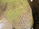 京鲜生海南菠萝蜜 23-27斤 净重23斤+   生鲜水果 源头直发 实拍图