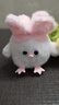 武汉文创蒜鸟发声玩偶纪念品鄂人和平鸟钥匙扣毛绒玩具公仔挂件 【限定】粉色樱花蒜鸟【1个装】 武汉蒜鸟背包挂件桌面摆件 实拍图