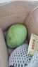京鲜生 广西大青芒 大果4.5斤装 单果400g起 生鲜水果源头直发 实拍图