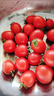 京地达山东圣女果小番茄 净重4.5斤 单果8g+ 水果小番茄源头直发包邮 实拍图
