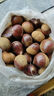【东东农场专供】25年丹东新板栗生板栗炒菜专用新鲜蔬菜生鲜 25年新下树 6斤 送栗爪 实拍图