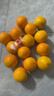 京觅秭归九月红果冻橙子爆汁净重4.5斤单果150g+新鲜水果源头直发包邮 实拍图