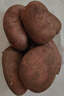 内蒙红皮大土豆新鲜黄心土豆现挖洋芋地蛋马铃薯粉面火锅批发 红皮土豆大果 2斤 【单果150g+】 实拍图