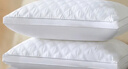 南极人抗菌枕头枕芯一对装（2只）星级酒店安睡枕颈椎枕 双人高弹枕头芯 实拍图