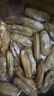 蛏子鲜活6斤野生大竹节海蛏子肉肥海鲜水产双头蛏子贝壳类海蛏子 1000g 2斤（试吃装） 实拍图