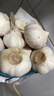 【百万单爆品】紫白皮蒜水果大蒜超市生鲜蔬菜调料即食蒜 大蒜 500g 单果3.5-5cm 实拍图