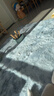 梦蜓长绒丝毛客厅地毯 亲肤防滑不掉毛 简约银灰 200*250cm 实拍图