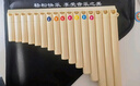 音域（RANGE）16管排箫儿童初学者学生入门演奏民族吹奏乐器 白色 实拍图