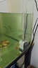 森森 小鲤鱼缸水泵小型潜水泵过滤泵抽水泵XQP-500 6W 实拍图