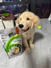 比瑞吉狗粮鸭肉梨升级瓜6冻干幼成老年小型犬小绿袋比熊去泪痕犬粮2kg 实拍图