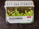 京东京造 家卫士ice冰箱除味剂活性炭除味冰箱除味盒 清新绿茶 180g*3 实拍图