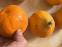 京鲜生 爱媛果冻橙 6斤 单果180g起生鲜水果桔子礼盒 实拍图