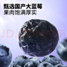 三只松鼠每日蓝莓干256g/16包 无添加水果干果脯小包装儿童老人办公室零食 实拍图