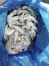PHUKEY SEA生冷冻南美白对虾 海鲜水产 净重3斤 盒装 （41-50只/KG） 实拍图