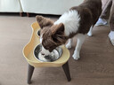 休普狗碗高脚宠物食盆食具狗饭碗防打翻不锈钢狗盆围边桌子奶黄色L码 实拍图