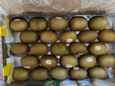 佳沛（zespri）新西兰  阳光金奇异果25-27粒原箱特大果单果约122-146g  猕猴桃 实拍图