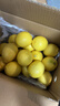 京鲜生 安岳黄柠檬16粒 单果95g-120g 生鲜水果 实拍图