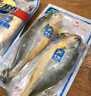 三都港 冷冻宁德大黄鱼700g/2条装 黄花鱼 生鲜鱼类 深海鱼 实拍图