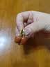 小银匠南红玛瑙S925银耳环女款新中式国风轻奢耳扣耳饰耳钉耳坠新年礼物 实拍图