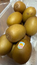 佳沛（zespri）新西兰  阳光金奇异果10粒礼盒巨大果单果约144-175g 水果 猕猴桃 实拍图