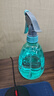 喷壶浇花浇水喷雾器气压式喷水壶家用园艺养花500ml 南瓜喷壶透蓝【1个装】 实拍图