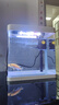 技研精工（JIYJNJINGGONG）鱼缸客厅小型家用带增氧桌面超白玻璃过滤免换水生态懒人鱼缸240 实拍图