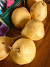 京地达烟台太婆梨软梨净重5斤单果130g新鲜香蕉大头啤酒梨 源头直发包邮 实拍图