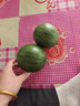 现摘现发2k西瓜当季手剥薄皮小糖丸西瓜新鲜水果冰糖子小西瓜 1.5-2斤（1-2个） 实拍图