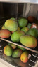 京鲜生 攀枝花凯特芒果 净重8.5斤 带箱9斤 单果500g+ 生鲜水果源头直发 实拍图