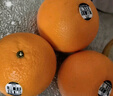 新奇士（Sunkist） 澳洲黑标晚熟脐橙 8斤礼盒装  单果220g起 新鲜水果礼盒 实拍图