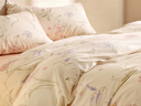 LOVO罗莱家纺 全棉四件套纯棉被套床单双人床上用品220*240cm米色 实拍图