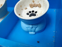 憨憨乐园猫碗陶瓷猫粮双碗斜口狗碗狗盆狗粮宠物幼猫咪吃饭食盆喝水喂食 实拍图