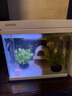 森森（SUNSUN）超白鱼缸一体缸自循环客厅水族箱桌面家用懒人免换水小型金鱼缸 超白HEJ250标配 带滤材+棉 实拍图
