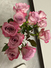 京东鲜花产地仓严选玫瑰颜色随机家庭插花随机玫瑰10枝源头直发 实拍图