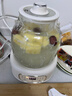 LOTOR徕多小圆吨养生壶1.2升煮茶壶办公室烧水壶恒温壶养生壶玻璃多功能煮茶器花茶壶D12Q 实拍图