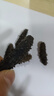 皇纯【威海产地】优选淡干海参50g7-12只 干货底播刺参 源头直发包邮 实拍图
